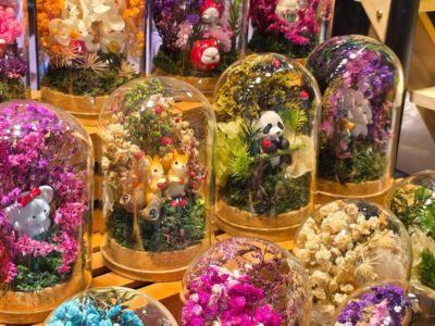 City Gardening Plants