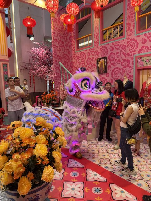 CNY LED Lion Dance