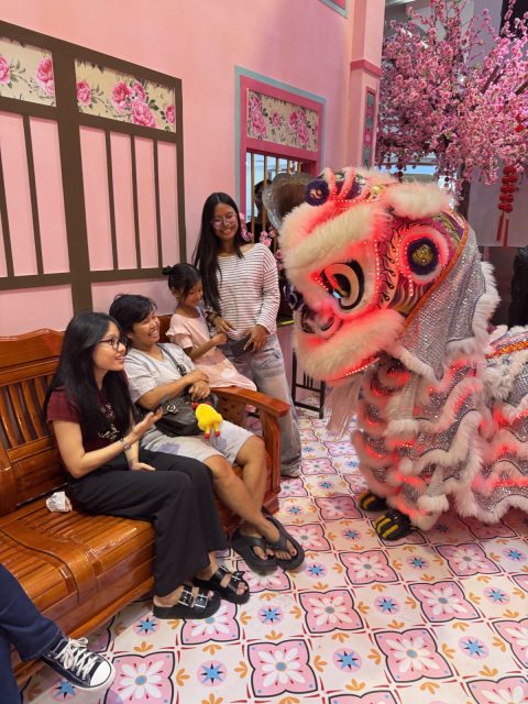 CNY LED Lion Dance
