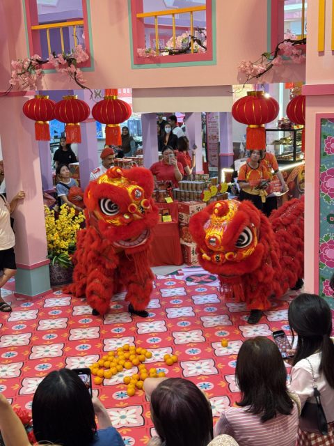 CNY Lion Dance
