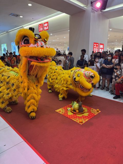 CNY Lion Dance