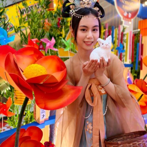 Mid-Autumn - Chang Er Appearance
