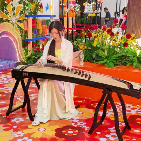 Mid-Autumn - Guzheng Performance