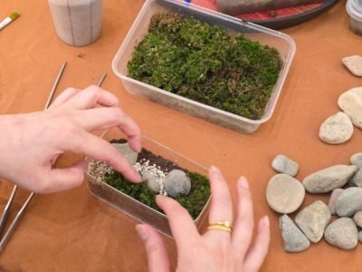 Terrarium Workshop